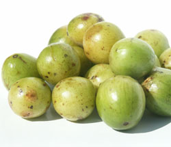FRUTO SECO ACIDO URICO fruto seco acido urico: